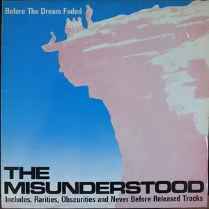 Before the dream faded